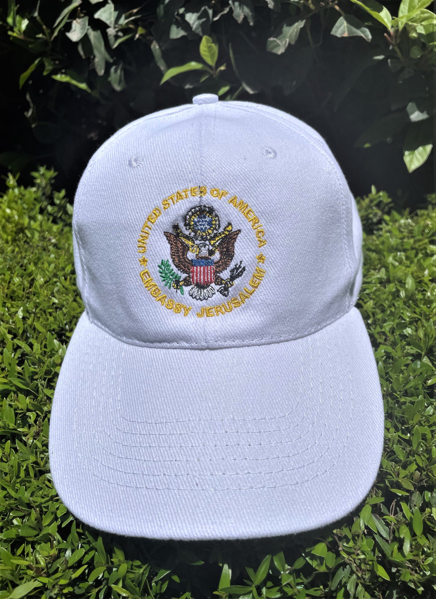 Baseball Hat - Embassy Seal