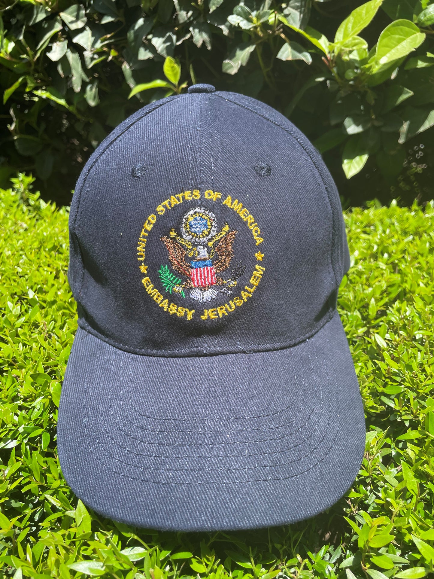 Baseball Hat  - Embassy Seal